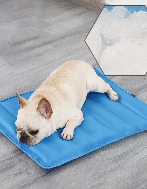 Load image into Gallery viewer, Pet Dog Cooling Mat Ice Pad Teddy Mattress Pet Cool Mat Bed Cat Summer Keep Cool Pet Gel Cooling Dog Mat for Dogs
