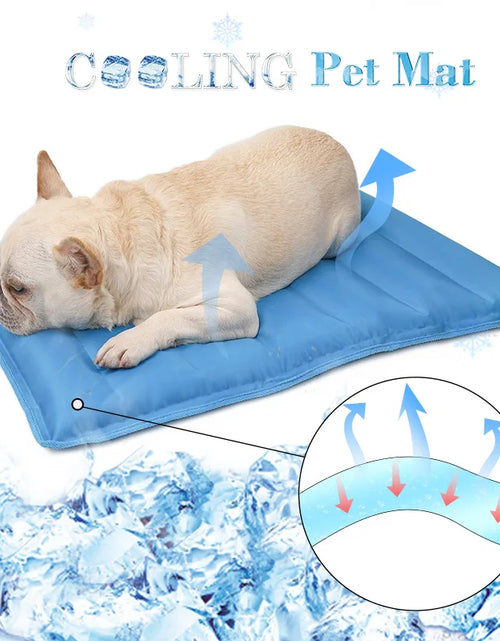 Load image into Gallery viewer, Pet Dog Cooling Mat Ice Pad Teddy Mattress Pet Cool Mat Bed Cat Summer Keep Cool Pet Gel Cooling Dog Mat for Dogs

